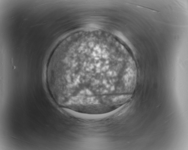 X0000088071477200706081659
