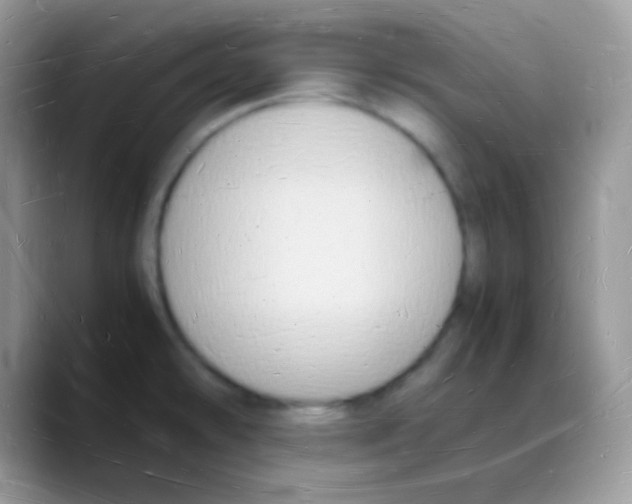 X0000088071478200706081659