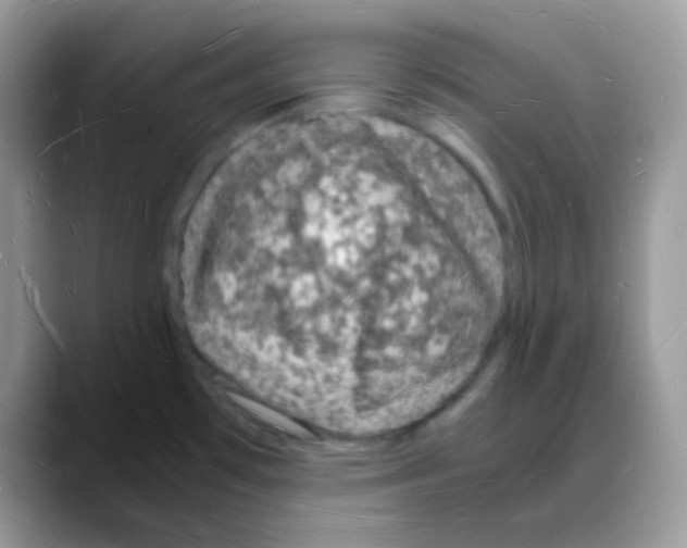 X0000088071481200706081659