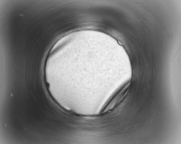 X0000088071483200706081659