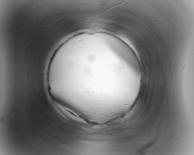 X0000088071485200706081659