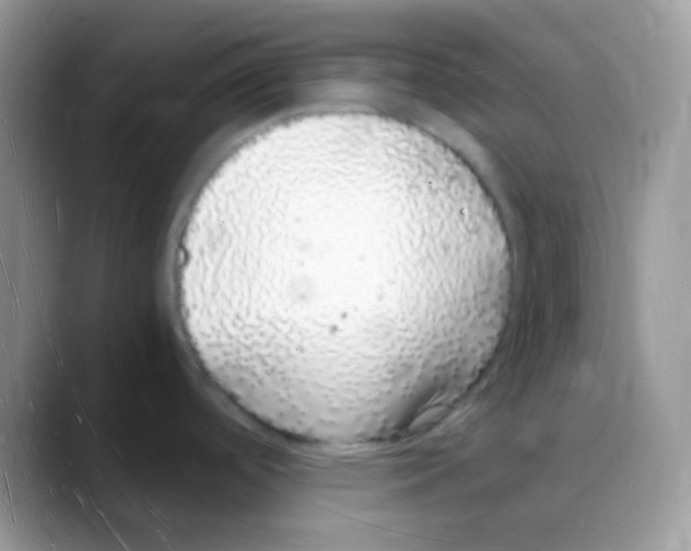 X0000088071488200706081659