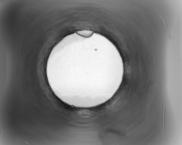 X0000088071489200706081659