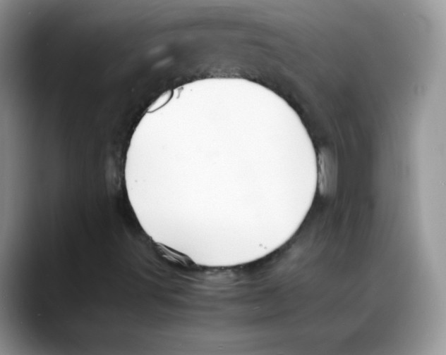 X0000088071491200706081659