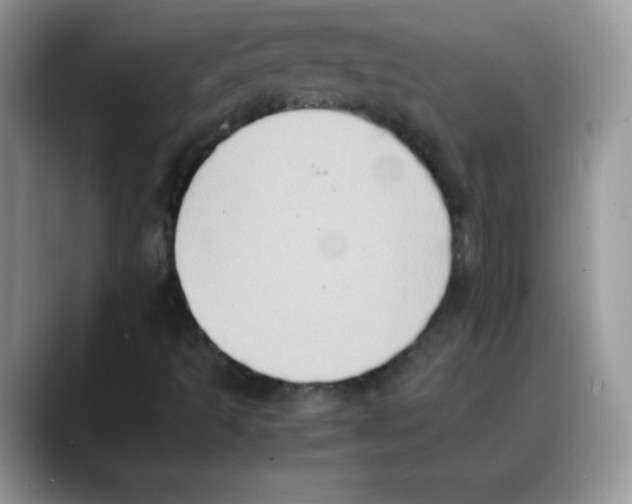 X0000088071493200706081659