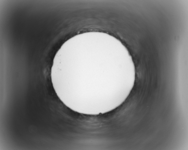 X0000088071495200706081659
