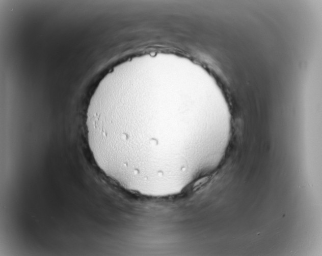 X0000088071496200706081659