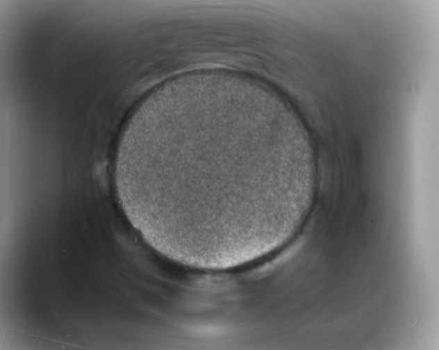 X0000088071497200706081659