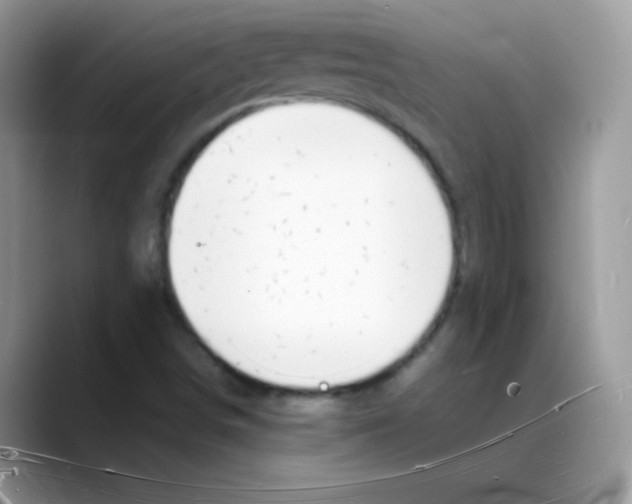 X0000088071498200706081659