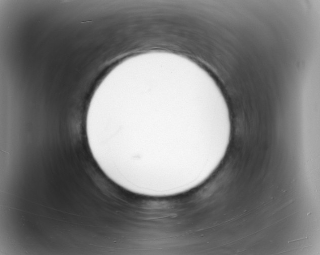 X0000088071499200706081659