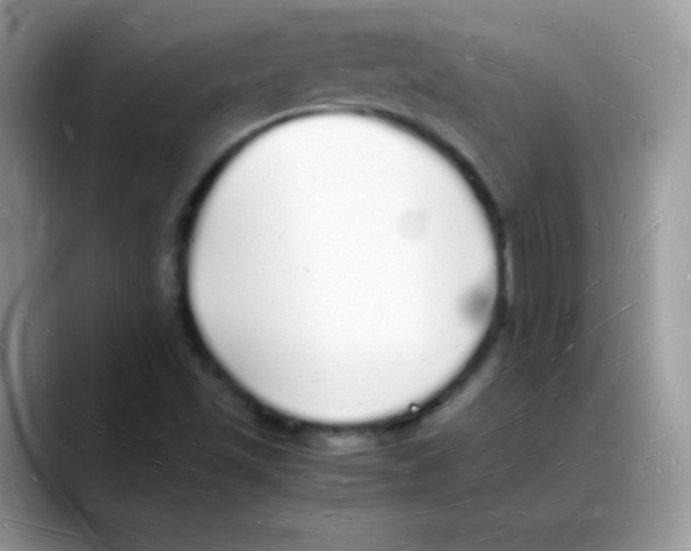 X0000088071501200706081659