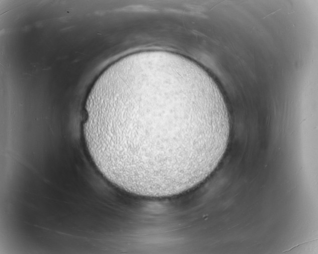 X0000088071504200706081659