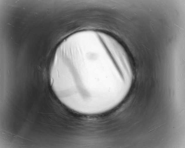 X0000088071505200706081659