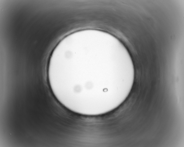 X0000088071512200706081659