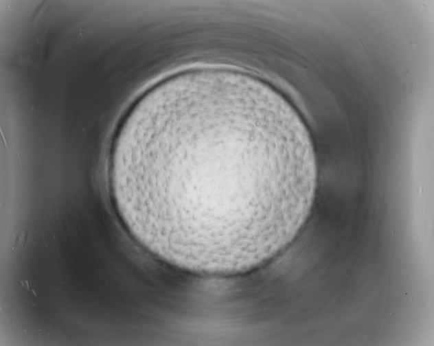 X0000088071514200706081659