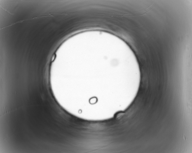 X0000088071516200706081659