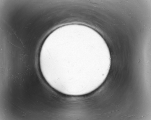 X0000088071518200706081659