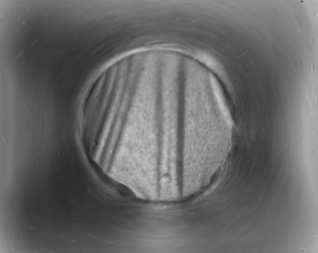X0000088071520200706081659