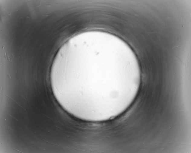 X0000088071521200706081659