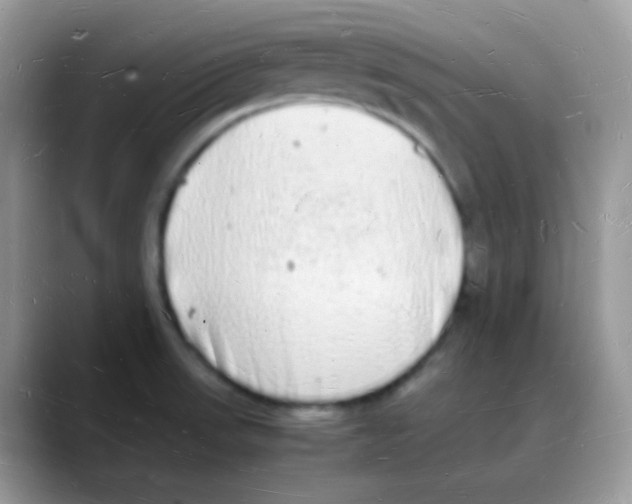 X0000088071523200706081659