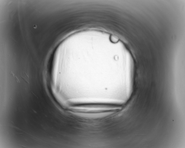 X0000088071525200706081659
