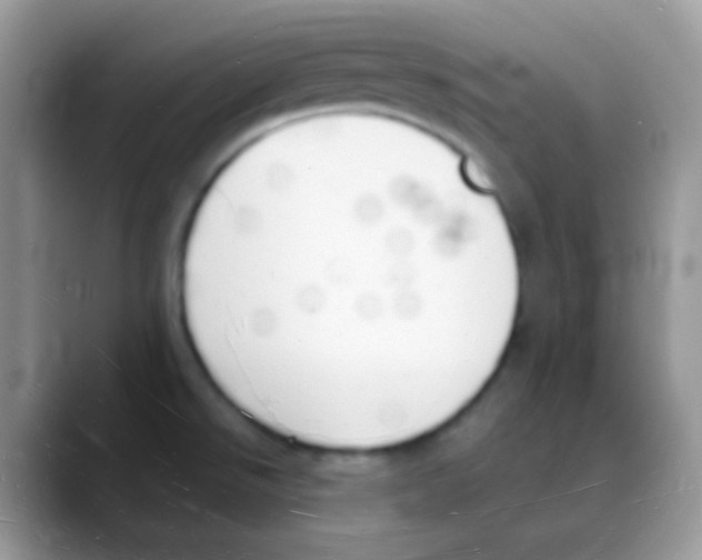 X0000088071526200706081659