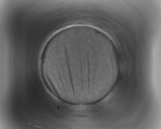 X0000088071527200706081659