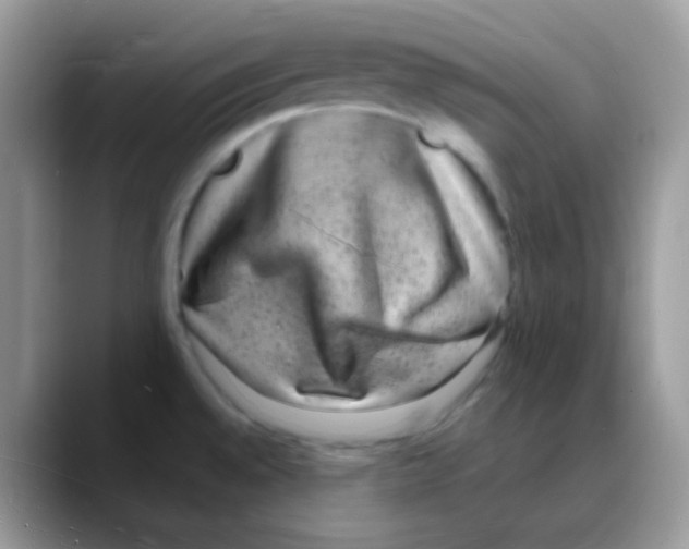 X0000088071528200706081659