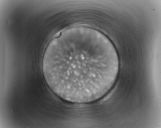 X0000088071529200706081659