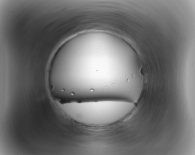 X0000088071530200706081659