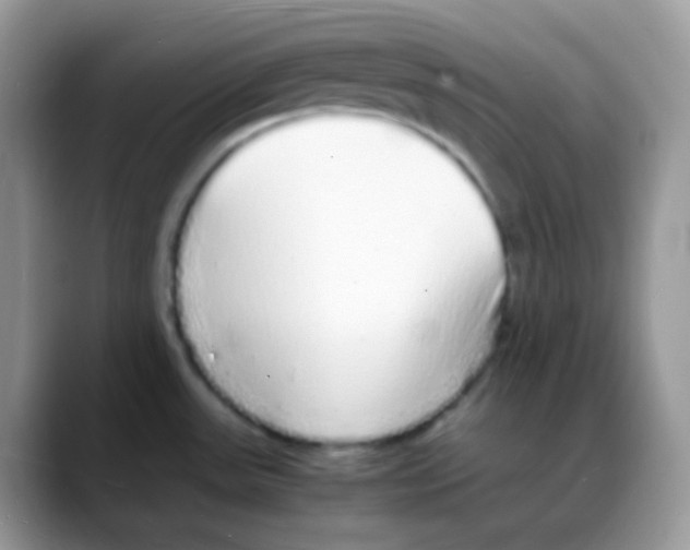 X0000088071531200706081659