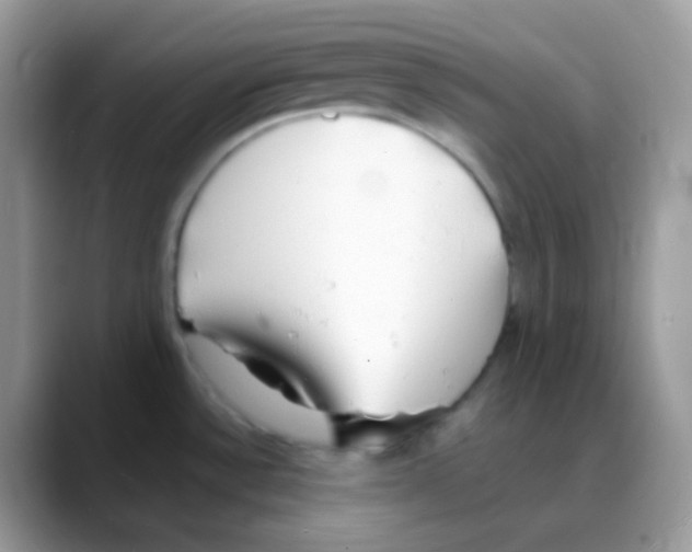 X0000088071532200706081659