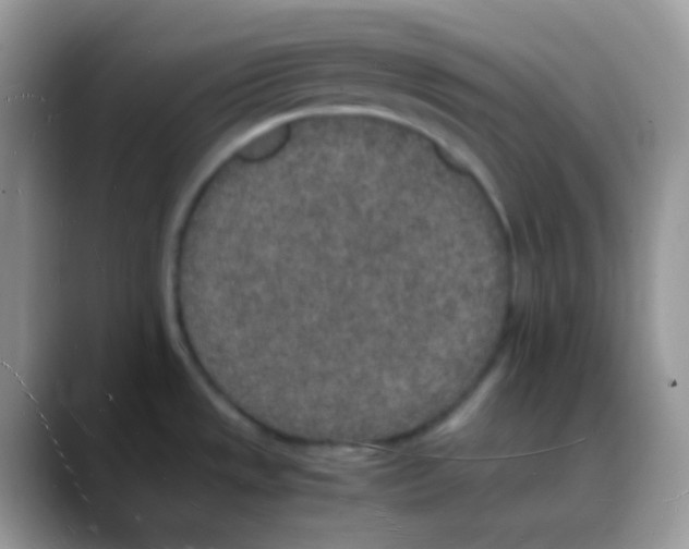 X0000088071533200706081659