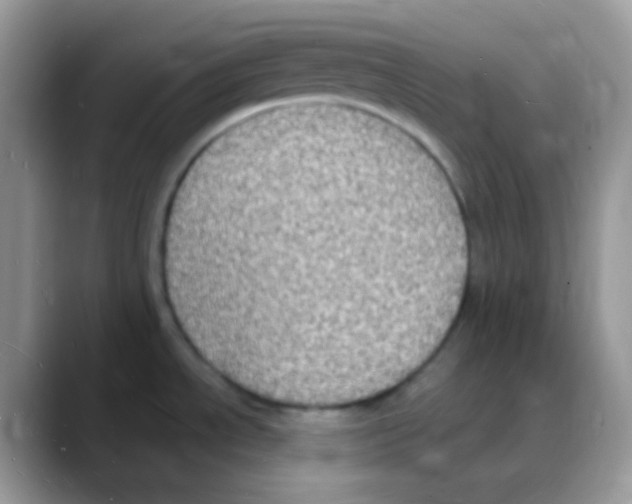 X0000088071534200706081659