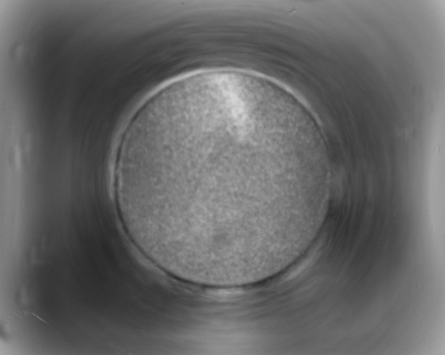 X0000088071535200706081659
