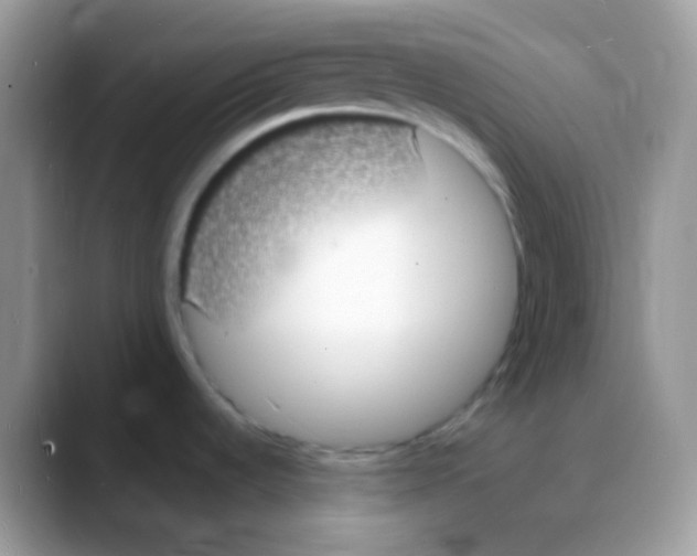 X0000088071536200706081659