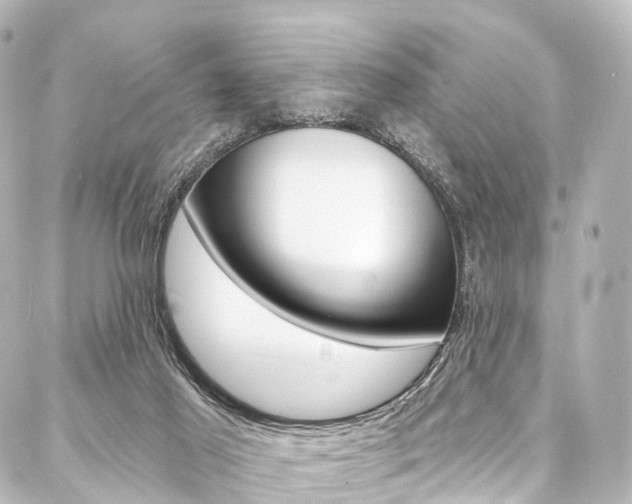 X0000088080021200705111014