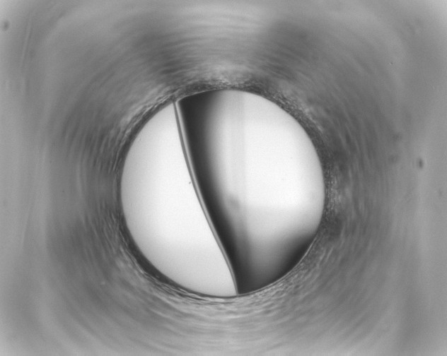 X0000088080027200705111014