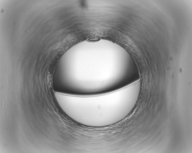 X0000088080029200705111014