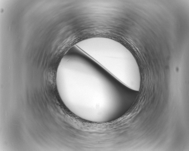 X0000088080044200705111013