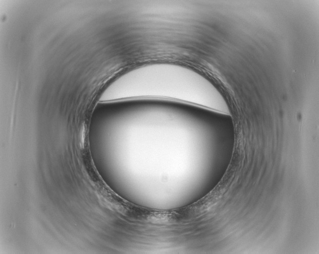 X0000088080076200705111013