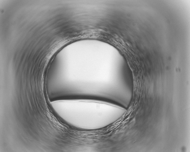 X0000088080100200705111012