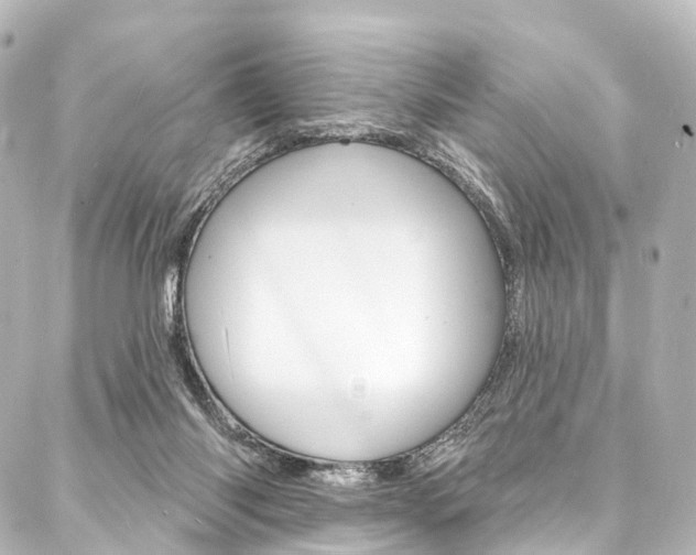 X0000088080118200705111012