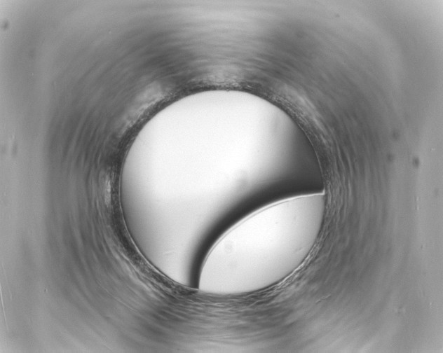 X0000088080120200705111012