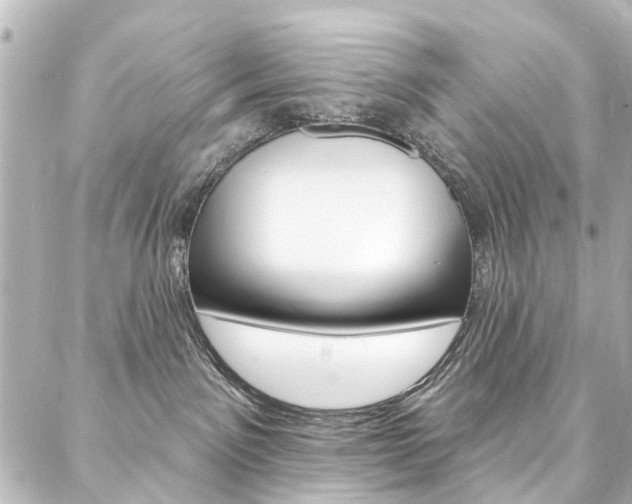 X0000088080141200705111012