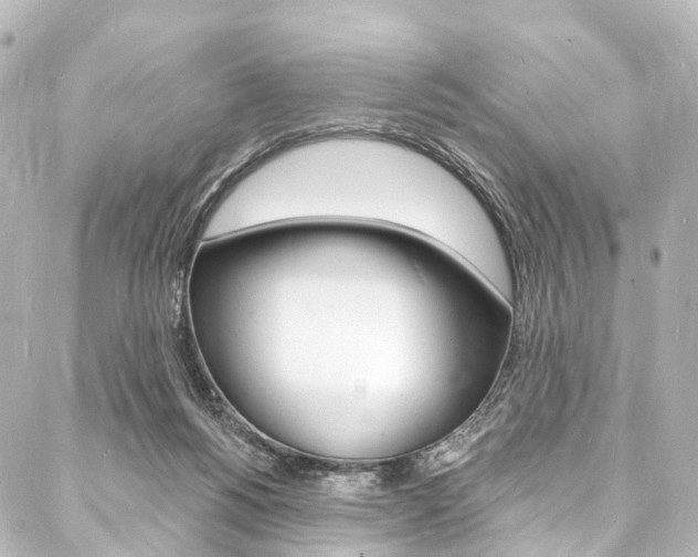 X0000088080168200705111011