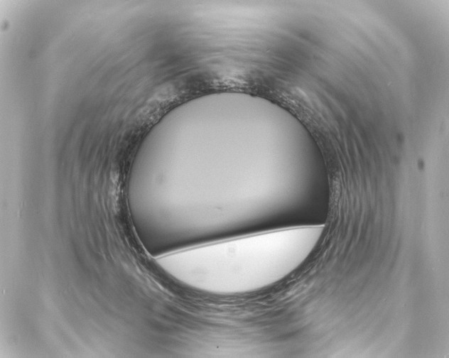 X0000088080223200705111010