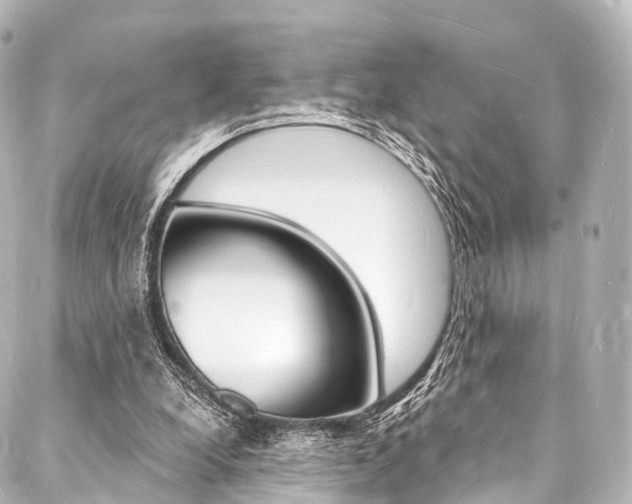 X0000088080248200705111009