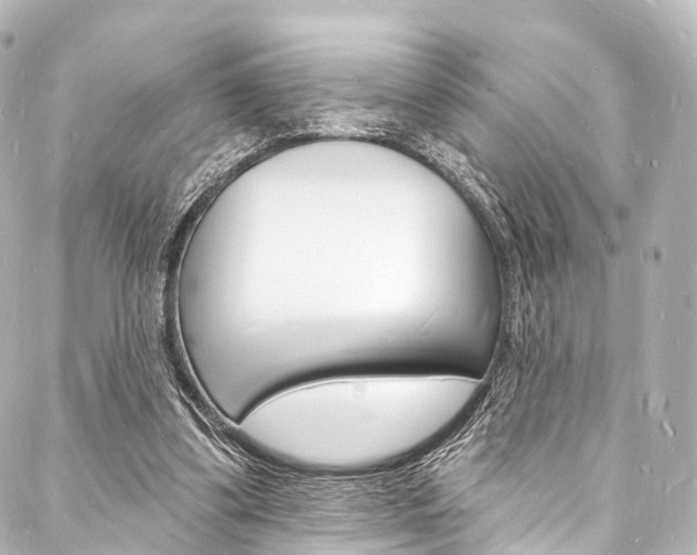 X0000088080299200705111009