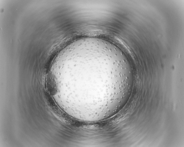 X0000088080307200705111009